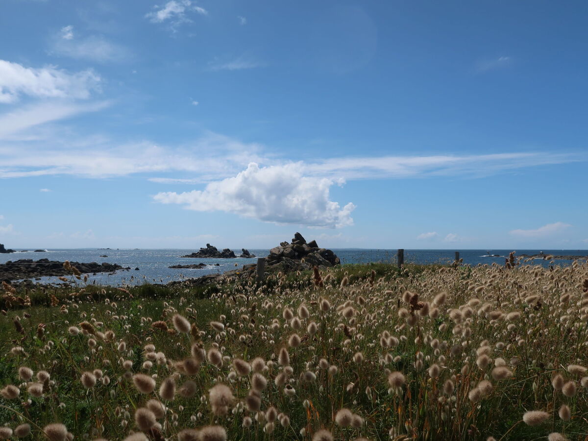 La Grande Roche – Maison rénovée à 600 m de la mer - Photo 36