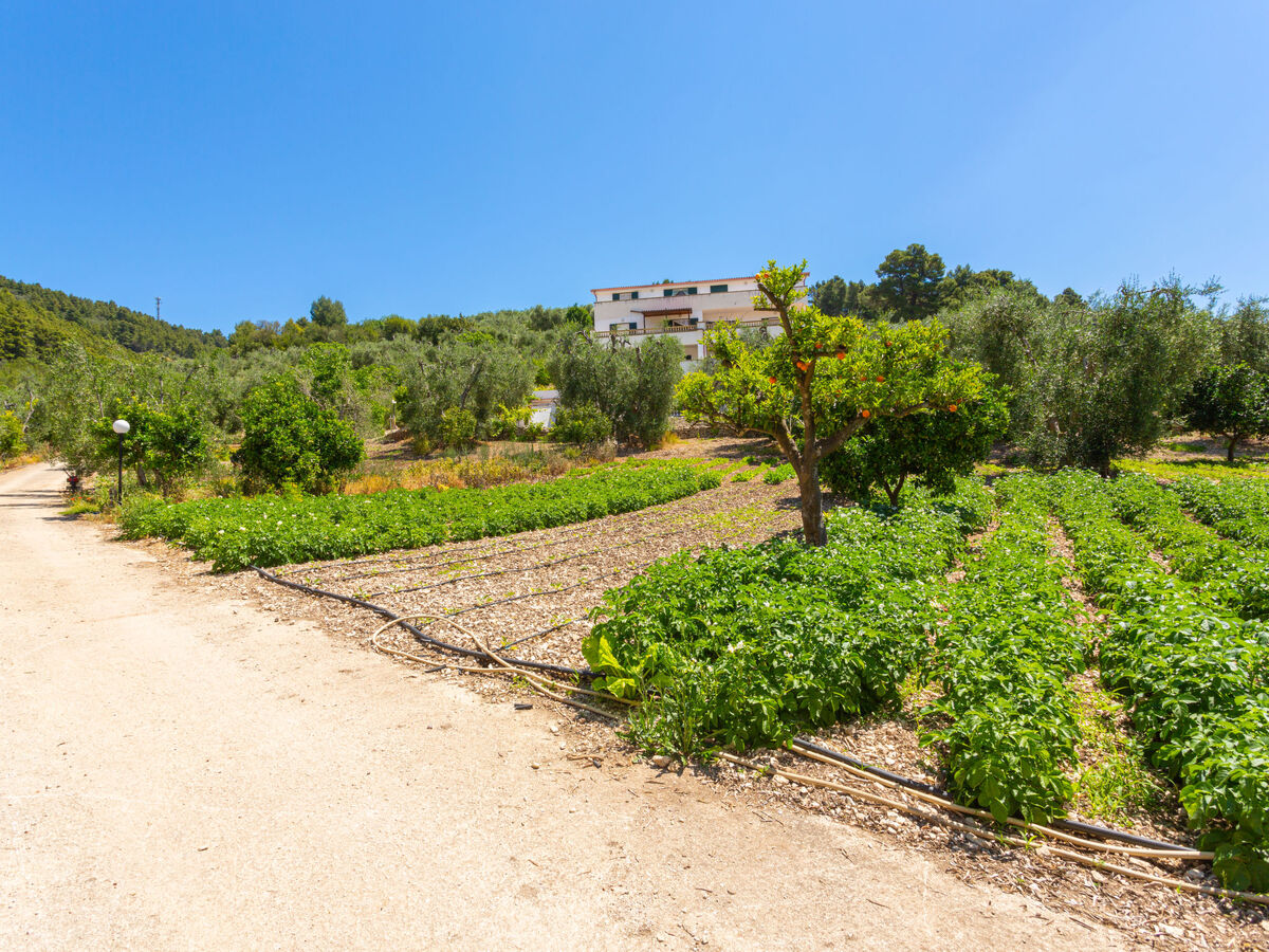 Appartement Villa Tavaglione à Peschici, 3 km de la mer - Photo 1