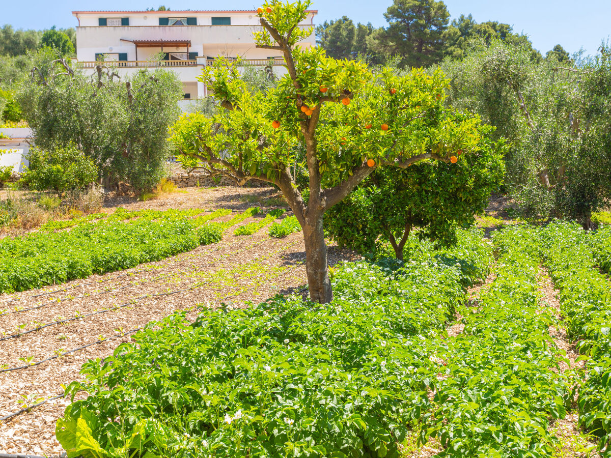 Appartement Villa Tavaglione à Peschici, 3 km de la mer - Photo 4