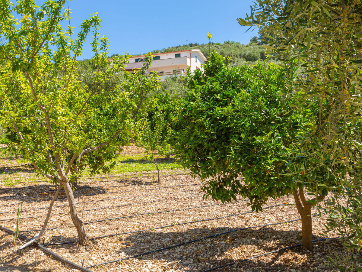 Appartement Villa Tavaglione à Peschici, 3 km de la mer - Photo 15