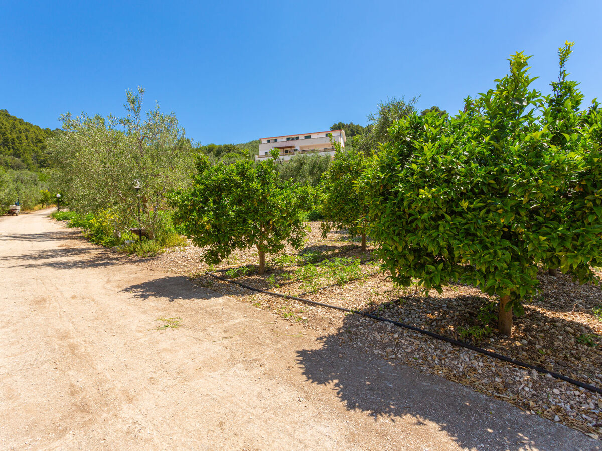 Appartement Villa Tavaglione à Peschici, 3 km de la mer - Photo 16