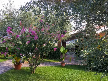Appartement Le Rasole à Garda, terrasse couverte et vue piscine : photo 20