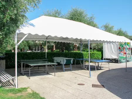 Appartement à Moniga del Garda avec balcon et piscine : photo 13