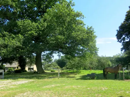 Le Petit Maître – Maison 6 pers. avec jardin 500 m² : photo 19