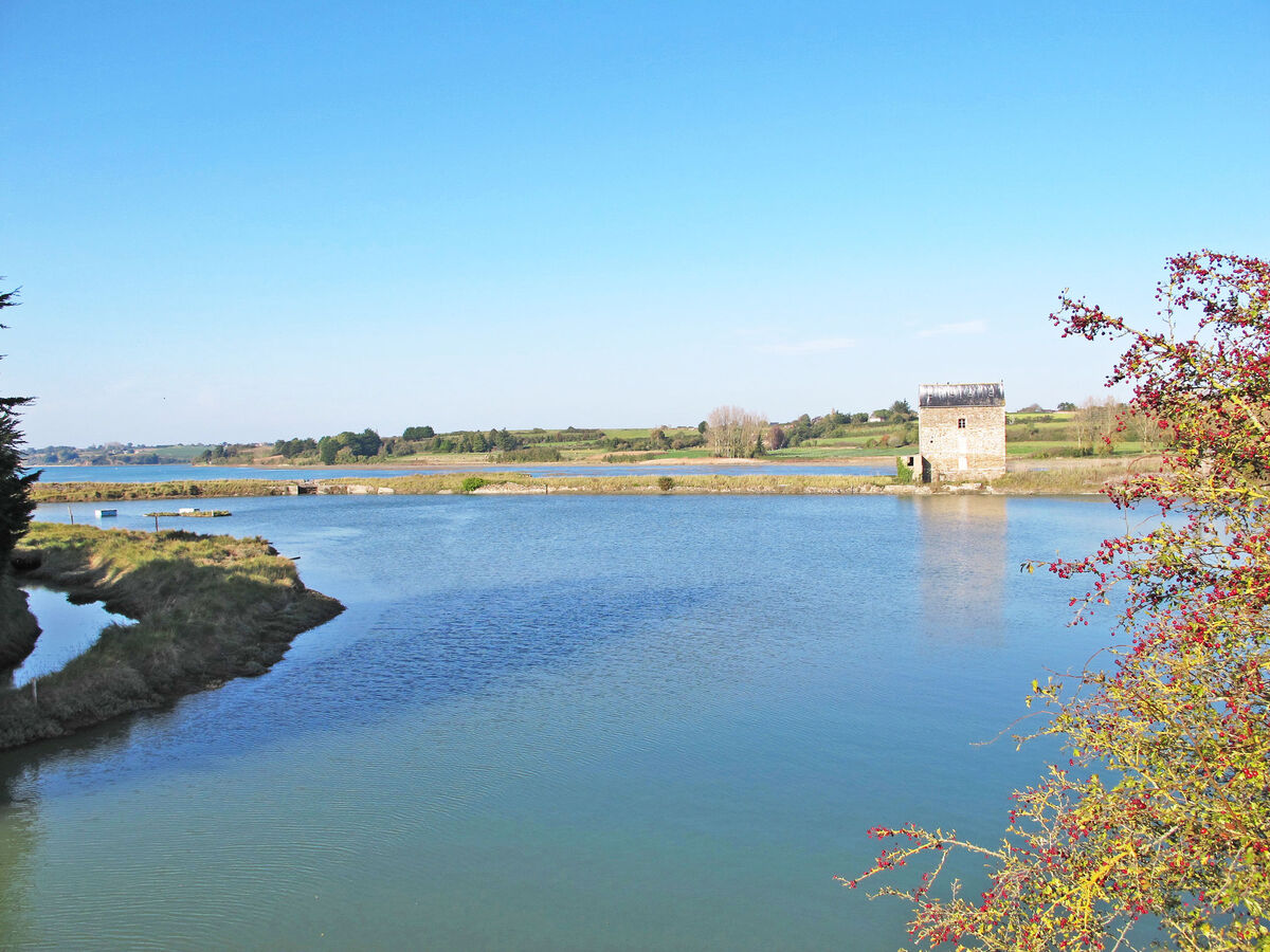 Bella Vista, maison 6 pers. avec vue rivière à Saint Suliac - Photo 28