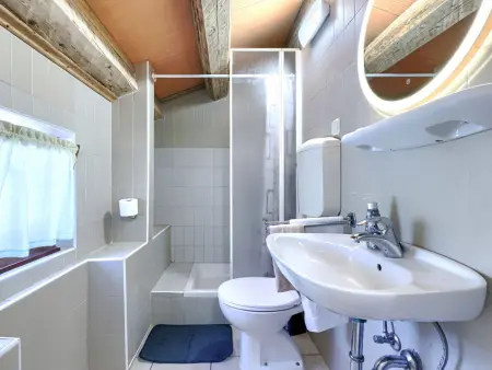 Maison Paolici à Labin : piscine privée et terrain : photo 31