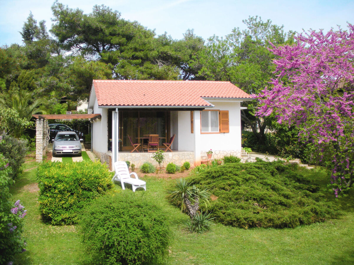 Maison Margit à Premantura, 300 m de la mer - Photo 1