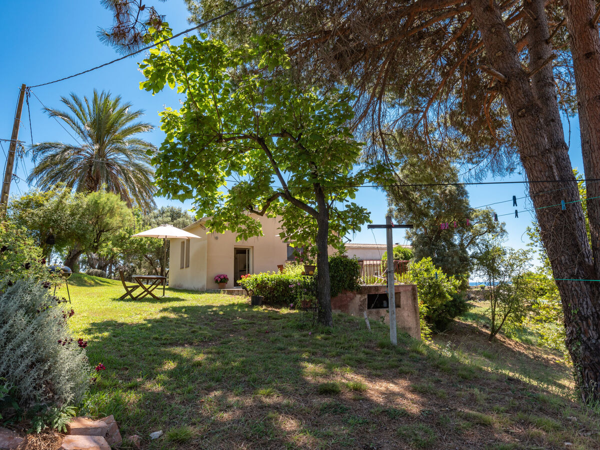 Maison Josée – vue montagne à 1,5 km de la mer, Cervione - Photo 1