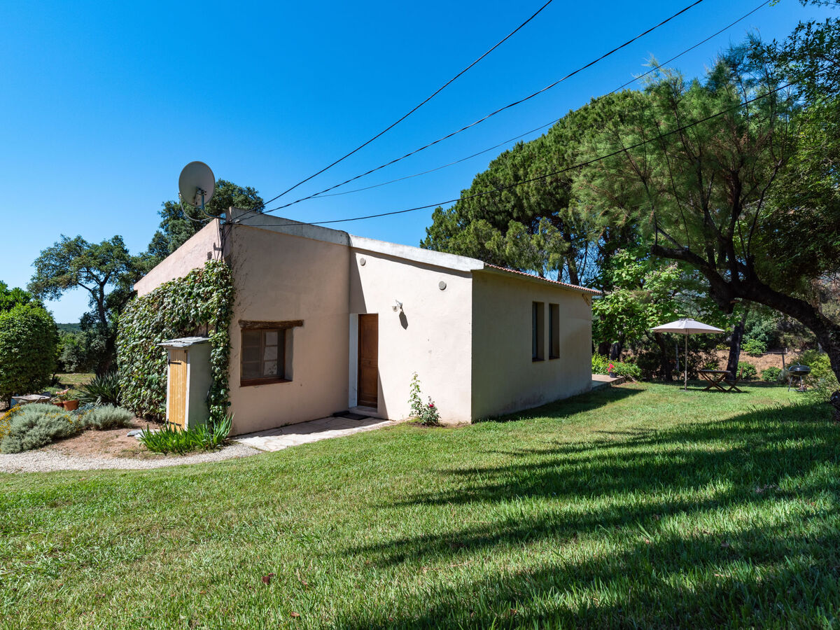 Maison Josée – vue montagne à 1,5 km de la mer, Cervione - Photo 18