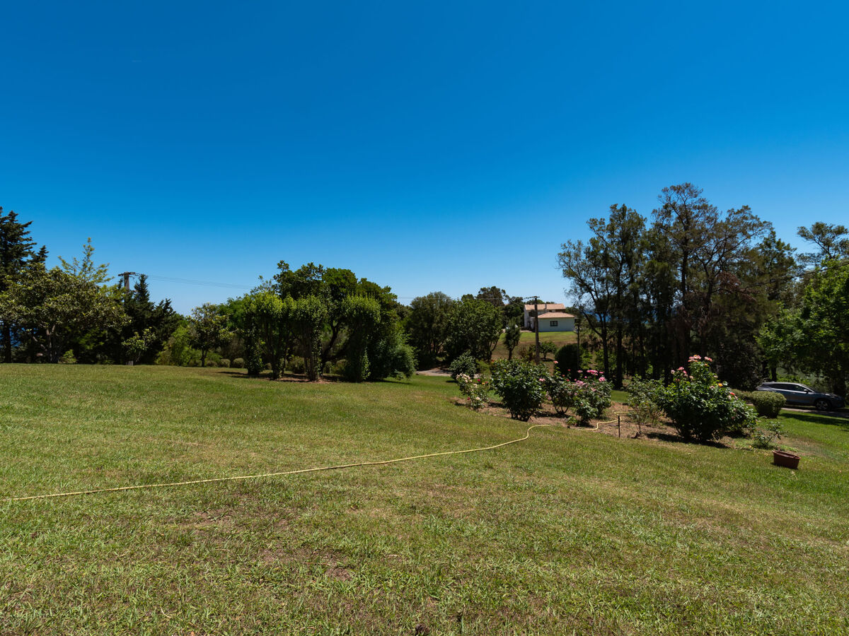 Maison Josée – vue montagne à 1,5 km de la mer, Cervione - Photo 19