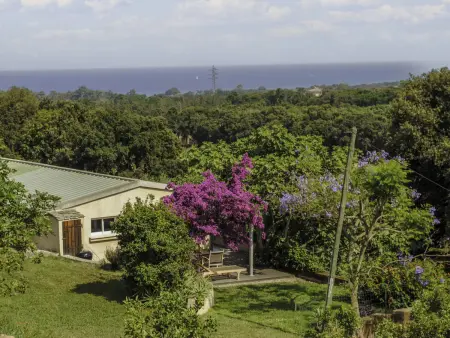 Maison Gerard – vue mer et montagnes en Castagniccia - Photo 20