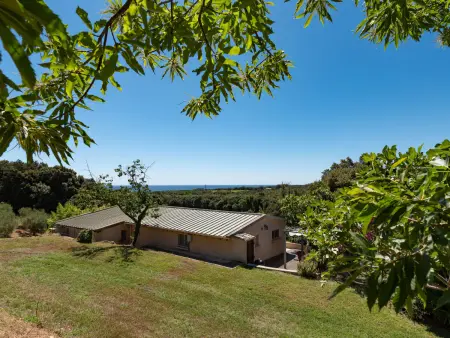 Maison Gerard – vue mer et montagnes en Castagniccia - Photo 22