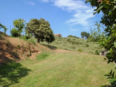 Maison Gerard – vue mer et montagnes en Castagniccia - Photo 23