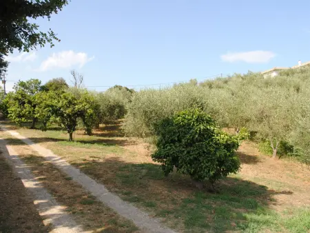 Maison Gerard – vue mer et montagnes en Castagniccia - Photo 24