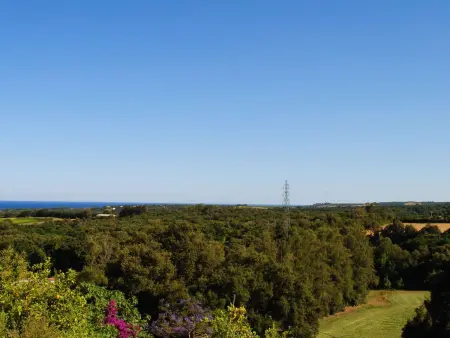 Maison Gerard – vue mer et montagnes en Castagniccia - Photo 26