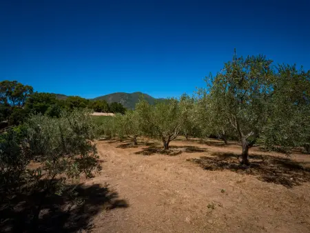 Maison Gerard – vue mer et montagnes en Castagniccia - Photo 27