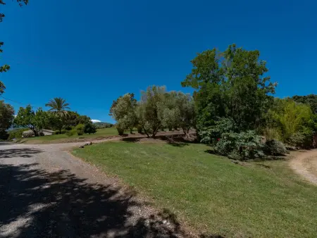 Maison Gerard – vue mer et montagnes en Castagniccia - Photo 28