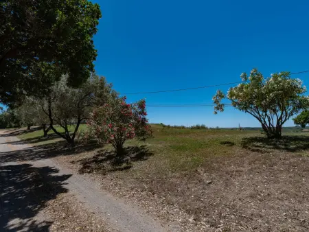 Maison Gerard – vue mer et montagnes en Castagniccia - Photo 29