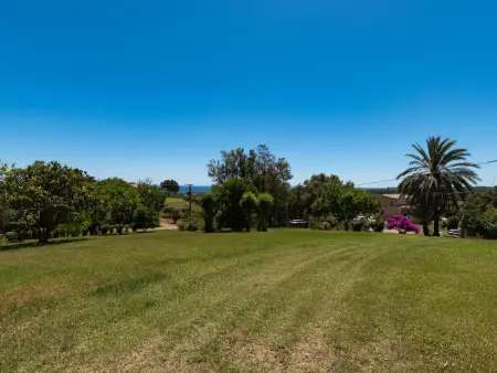 Maison Gerard – vue mer et montagnes en Castagniccia - Photo 30