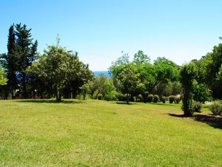 Maison Gerard – vue mer et montagnes en Castagniccia - Photo 33
