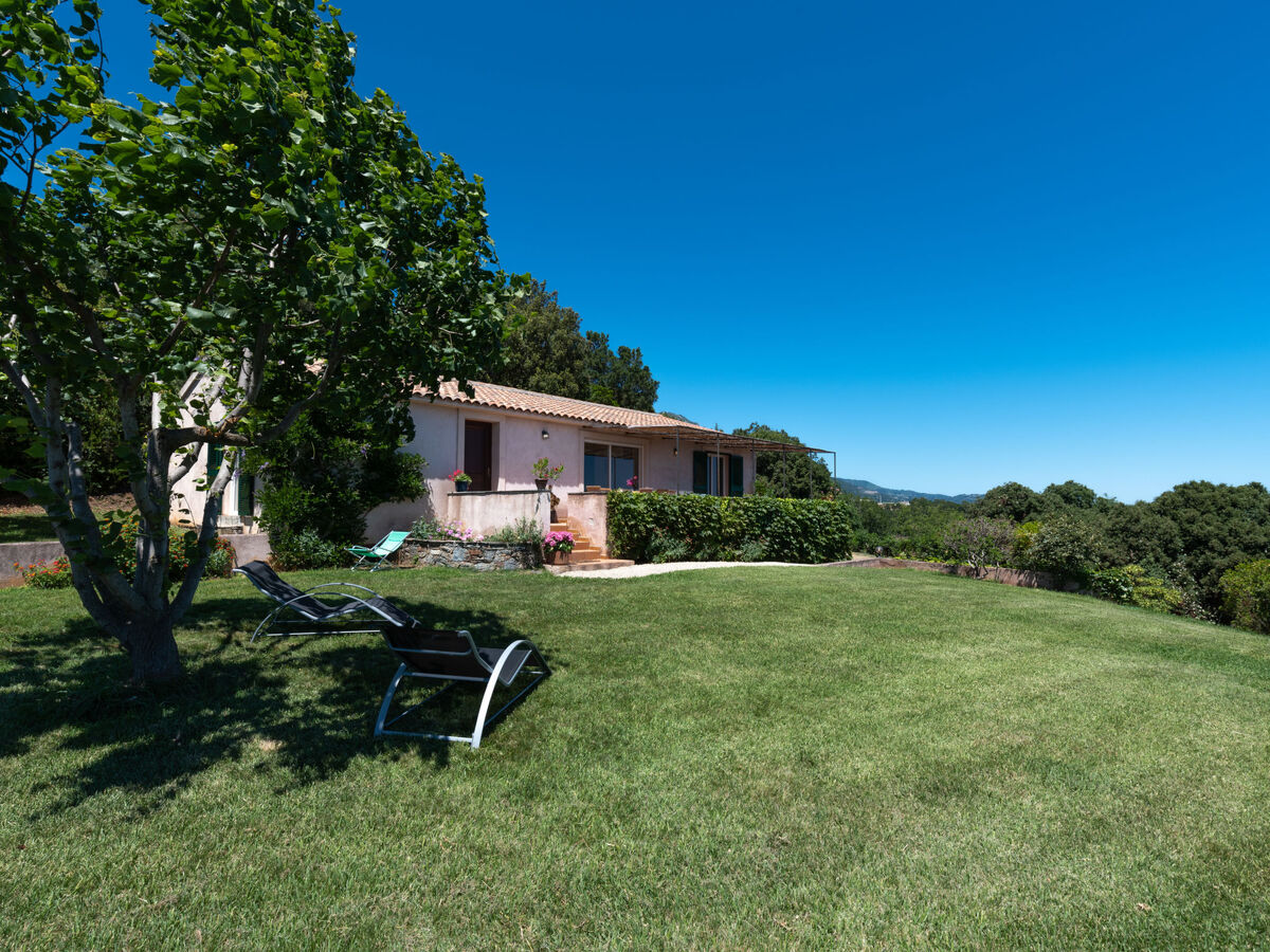 Maison Christian – vue mer et montagne à Cervione - Photo 20