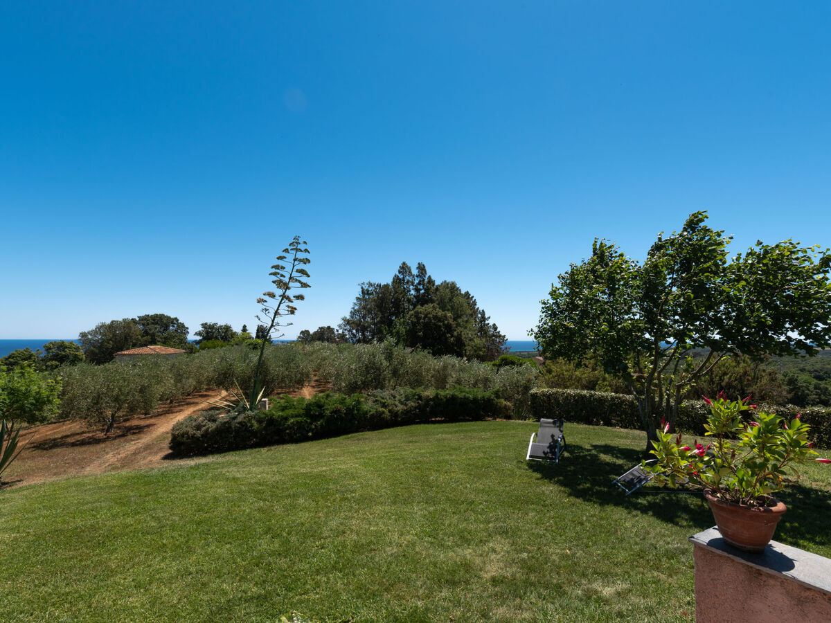 Maison Christian – vue mer et montagne à Cervione - Photo 21