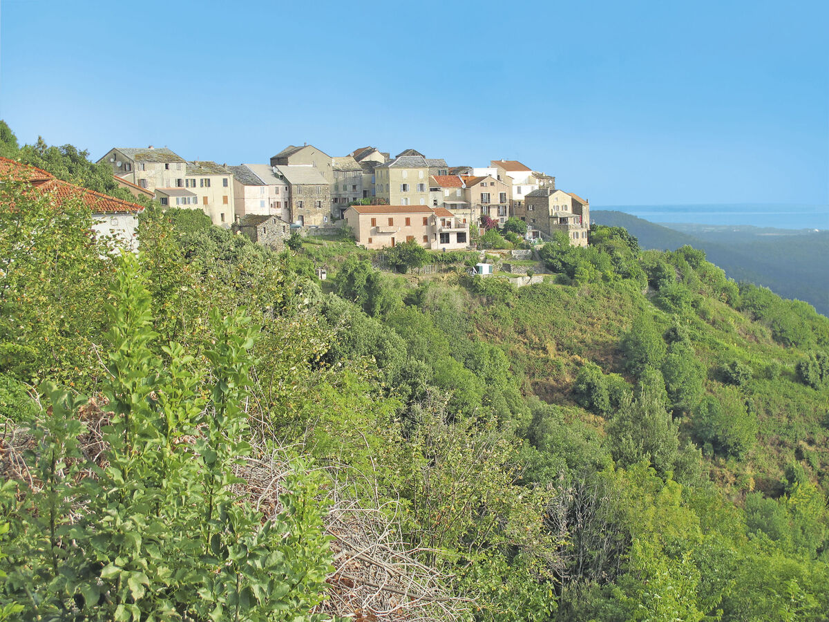 Maison Christian – vue mer et montagne à Cervione - Photo 32