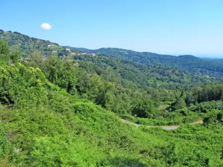 Filippi, Maison 6 personnes à Cervione Castagniccia - Photo 16