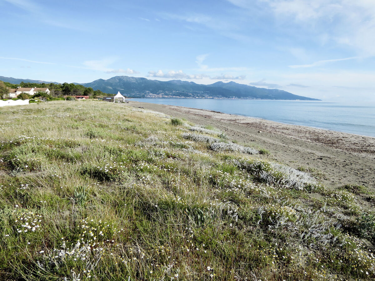 Les Chênes - Maison 5 pers. à 200 m de la plage - Photo 21