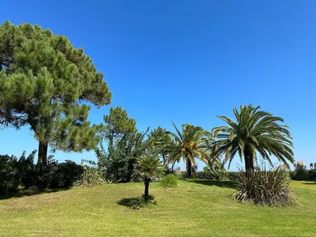Les Chênes, Maison 5 personnes à La Marana - Photo 17