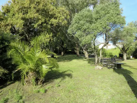 Les Chênes, Maison 5 personnes à La Marana - Photo 19