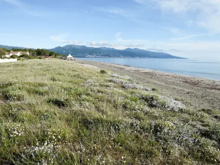 Les Chênes, Maison 5 personnes à La Marana - Photo 20