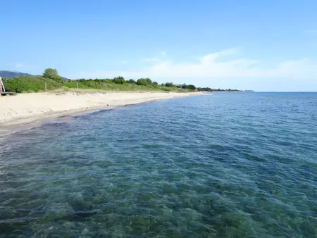 Maison 110 m² à Moriani-Plage, jardin et piscine : photo 30