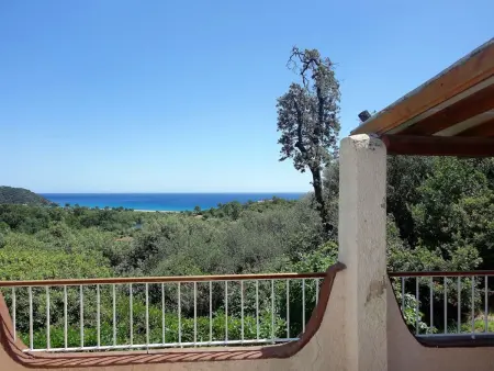 Bungalow Fium del Cavu à Pinarellu, vue mer et terrasse : photo 2