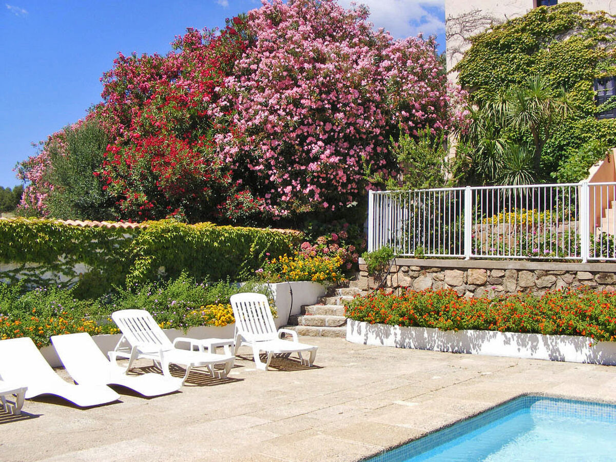Appartement Marie Diane - 4 chambres avec piscine à Propriano - Photo 22