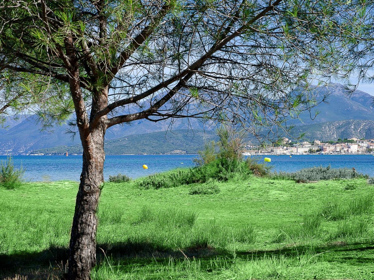 Studio Suarella avec vue mer à Saint-Florent - Photo 17