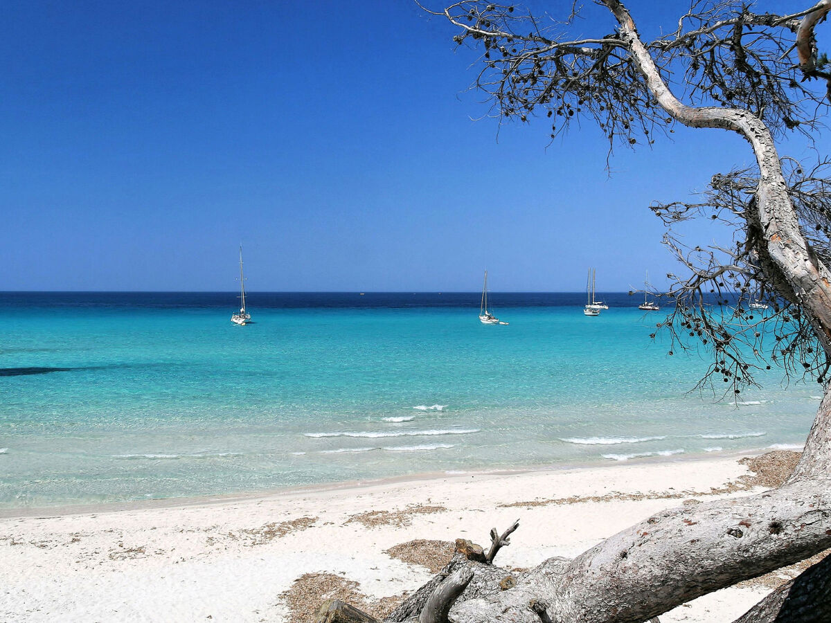 Studio Suarella avec vue mer à Saint-Florent - Photo 20