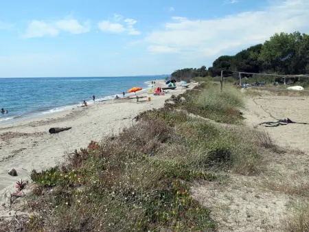 Maison Rico Plage à San Nicolao, à 50 m de la mer : photo 21