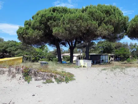 Maison Rico Plage à San Nicolao, à 50 m de la mer : photo 22