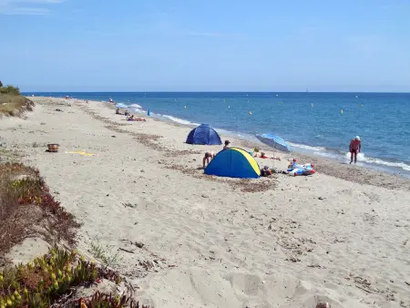 Maison Rico Plage à San Nicolao, à 50 m de la mer : photo 24