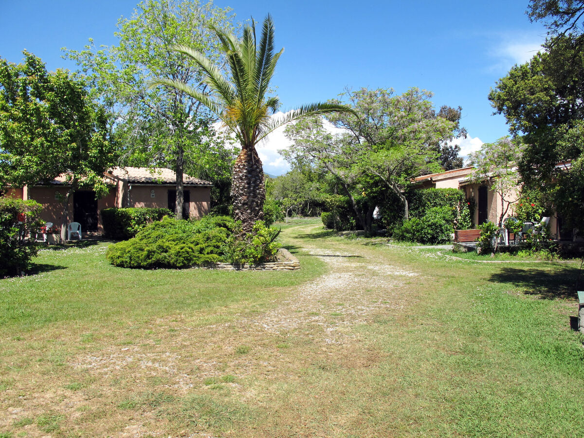 Maison 4 pers. à 50 m de la plage, San Nicolao - Photo 3