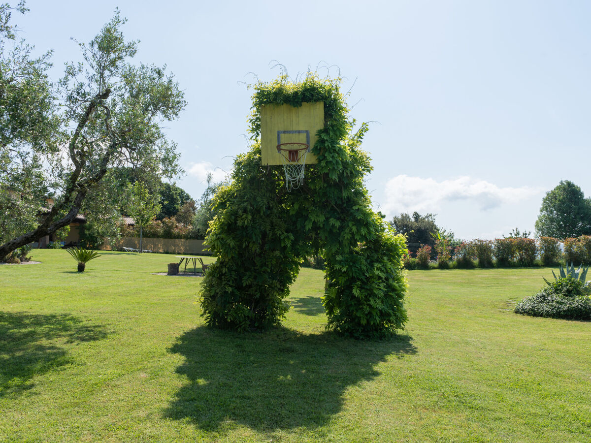 Gîte Dolce Vita – lac de Bolsena à 900 m - Photo 20