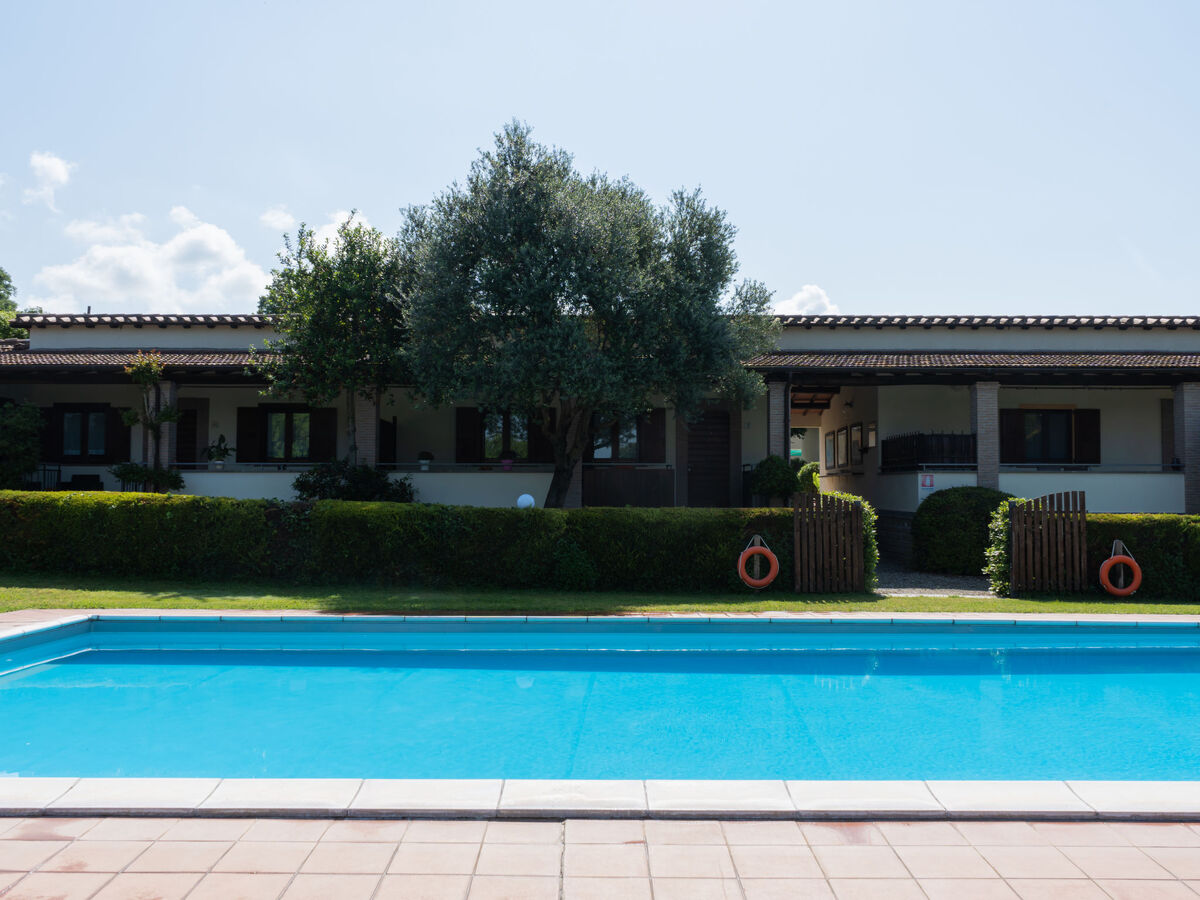 Gîte Dolce Vita – campagne toscane à 900 m du lac de Bolsena - Photo 14