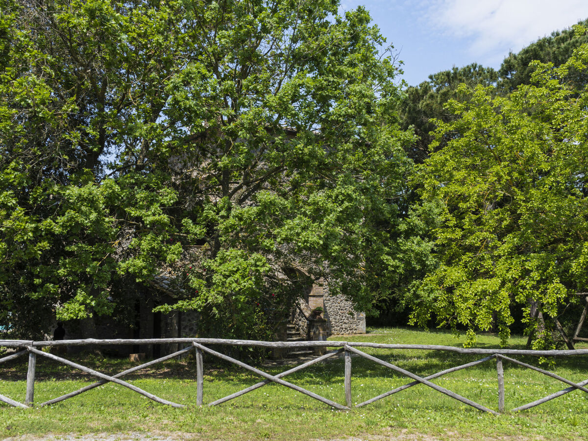La Capraccia – Studio rustique sur domaine de 20 ha - Photo 25