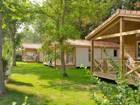 Bungalow à Argelès-sur-Mer, terrasse couverte, piscine commune : photo 6