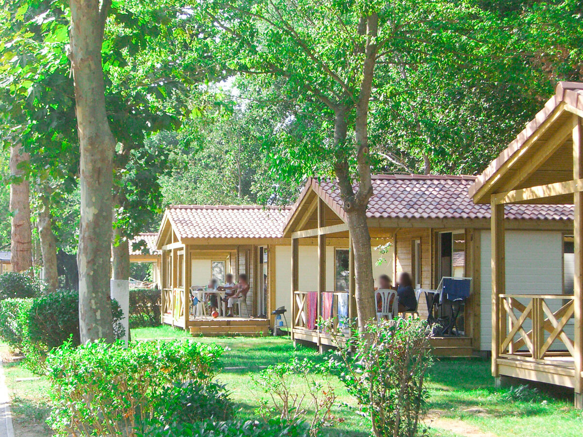 Le Mediterranée – Bungalow 3 chambres à Argelès-sur-Mer - Photo 12