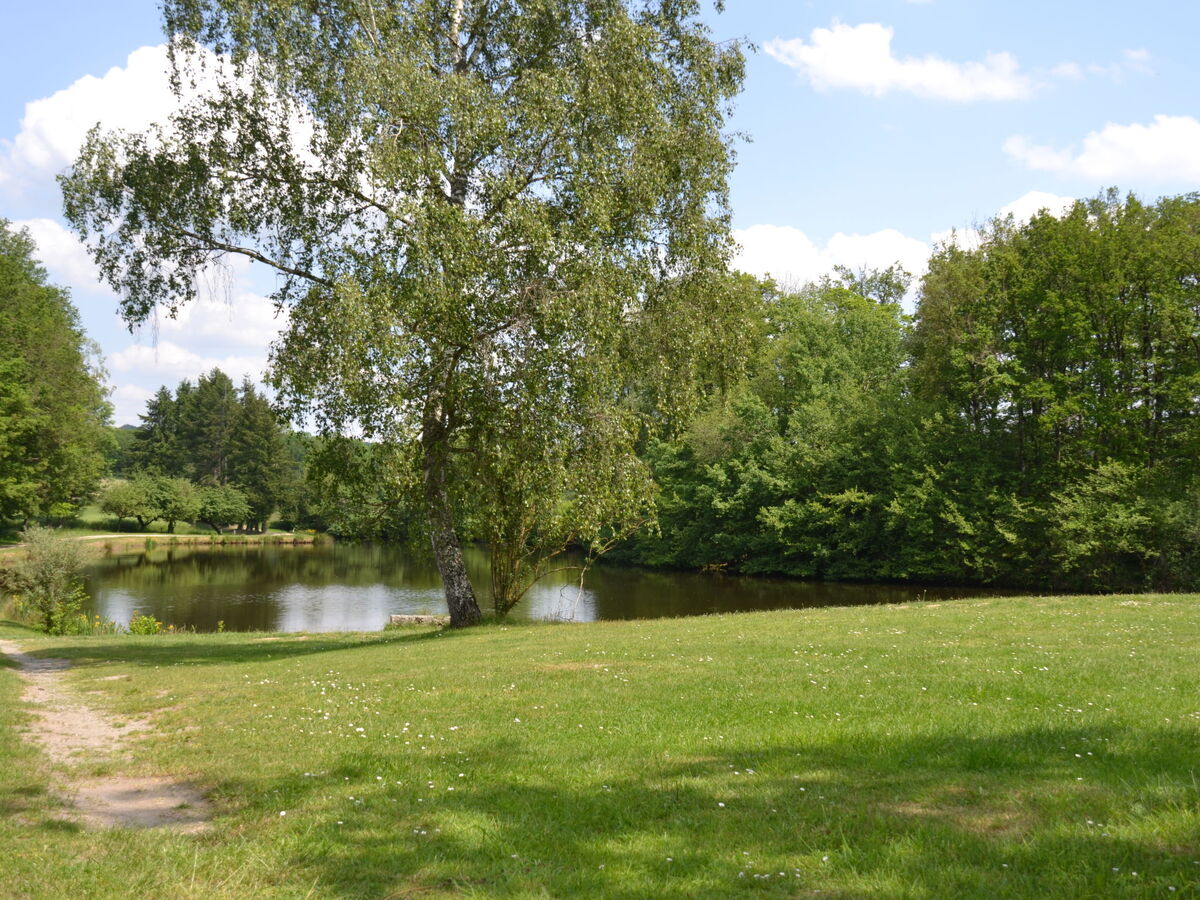 Marchives – Maison 8 pers. avec lac et étang - Photo 24