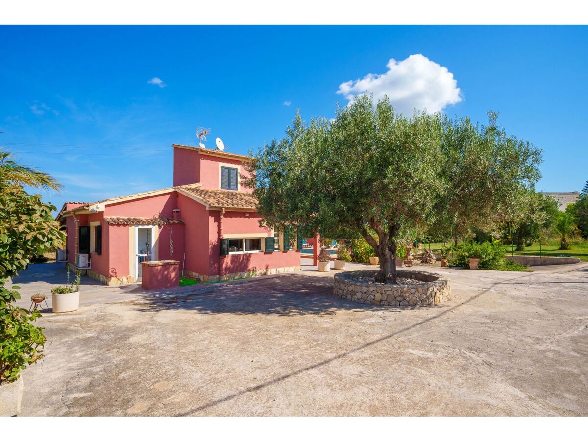 Sa Olivera, maison 80 m² avec piscine à Alcúdia - Photo 35