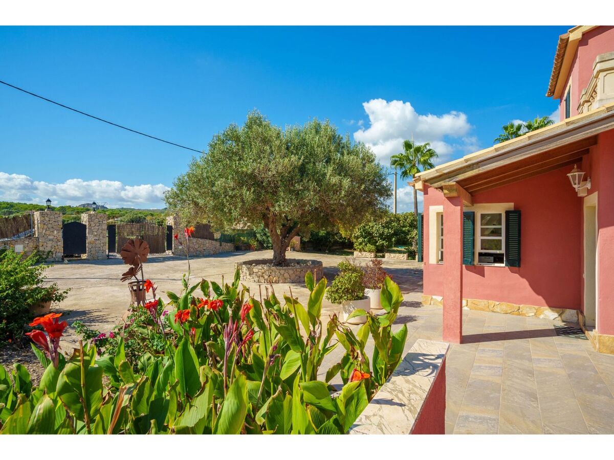 Sa Olivera, maison 80 m² avec piscine à Alcúdia - Photo 36