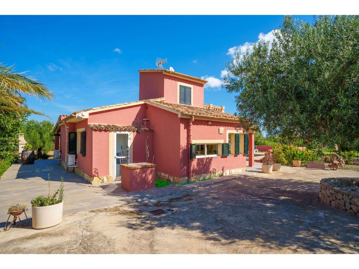 Sa Olivera, maison 80 m² avec piscine à Alcúdia - Photo 39